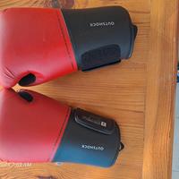 Guantoni Boxe 