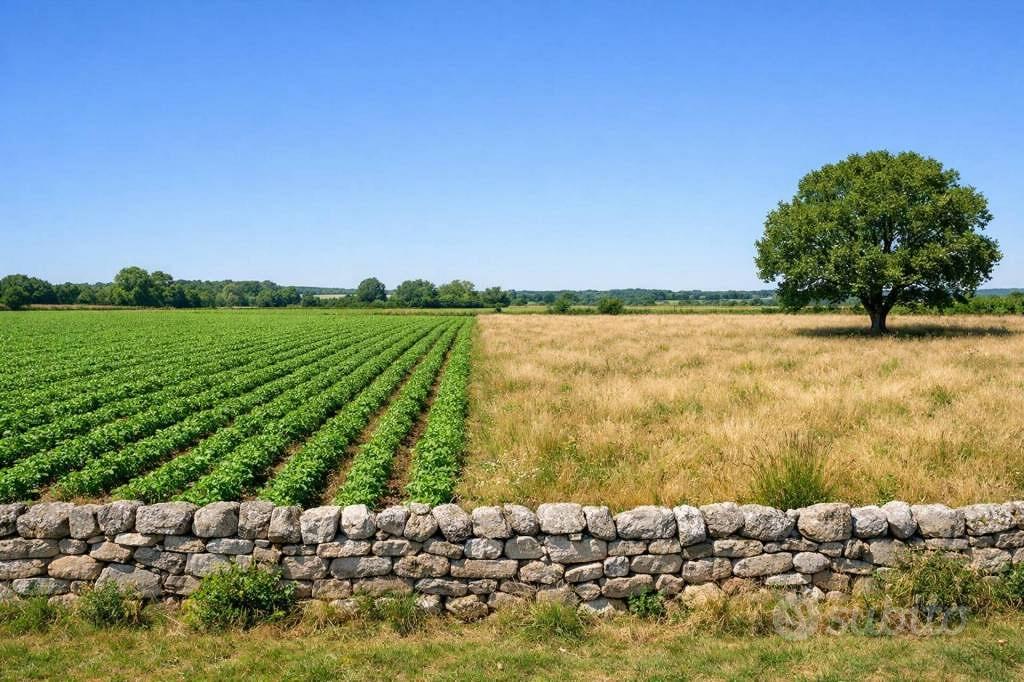 Immobile in asta di 129950 m² a Anghiari - Vista 4