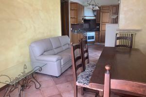 Appartamento arredato in villa con giardino