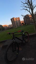 rock Rider 530