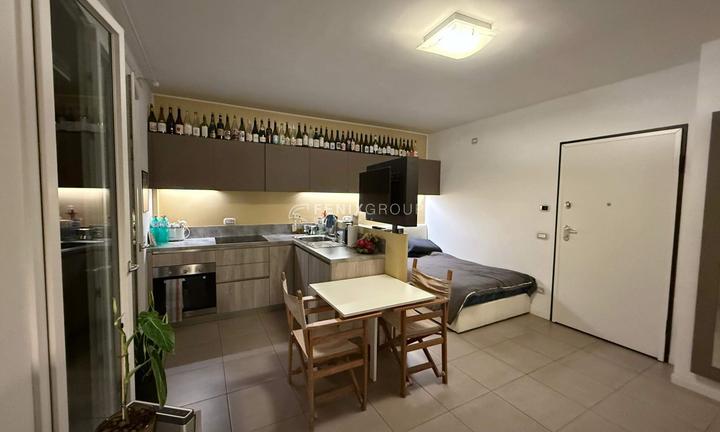 MONOLOCALE VIA LUCIANO ZUCCOLI 8 , MILANO