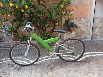 MTB Pininfarina 26" Alluminio - Edizione Limitata