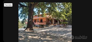 villa palombara sabina 