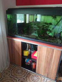 acquario 250 lt