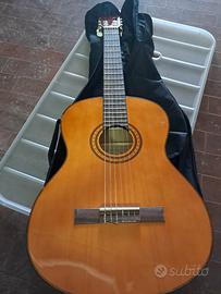 chitarra acustica