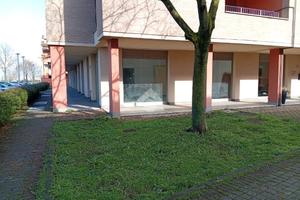 NEGOZIO A LANGHIRANO