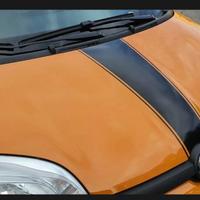 Fascia cofano Fiat Panda