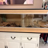 Teca terrario produzione RH frank