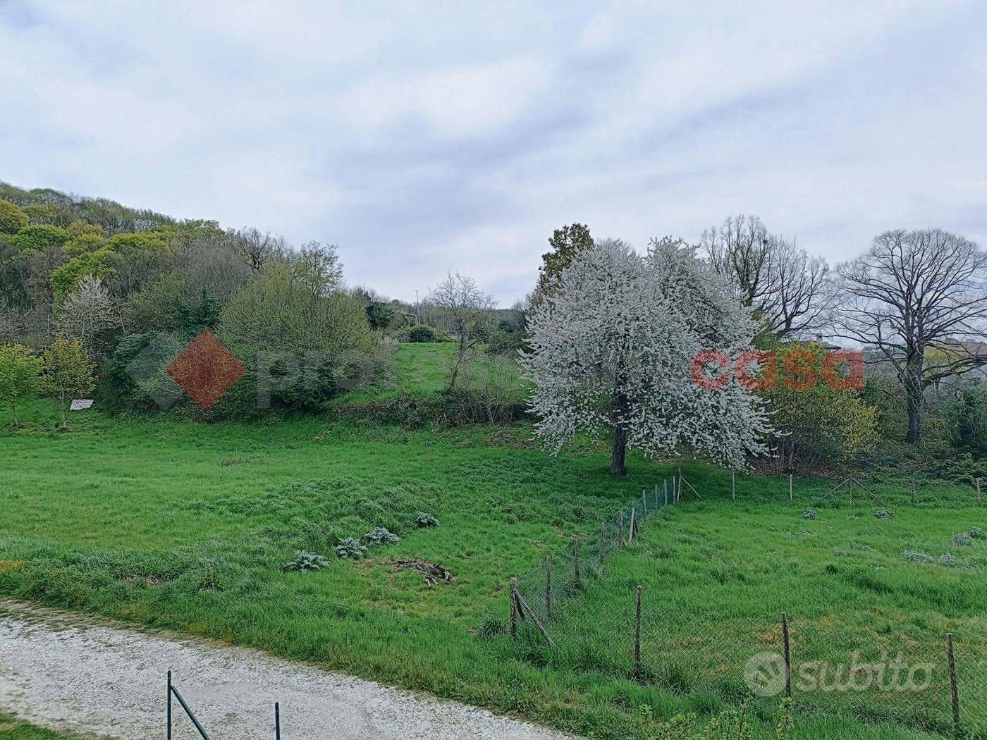 Terreno Residenziale Oricola [Cod. rif 3231659VRG] - Vista 4