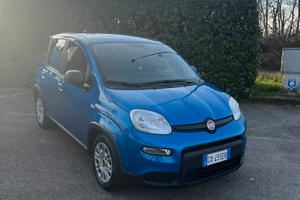 Fiat panda 1.0 69cv firefly Hybrid