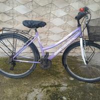 bici unisex 26 