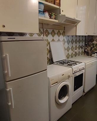 lavatrice, lavastoviglie, cucina con forno, frigo