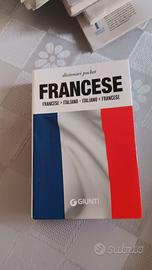 Dizionario