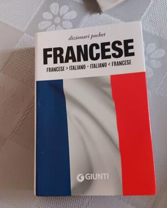 Dizionario