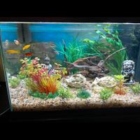 Acquario nero capacità 60 litri