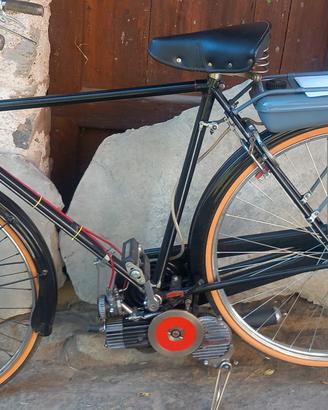 mosquito garelli