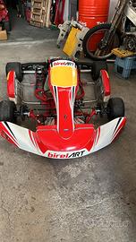 kart birel s12 2021 per pezzi di ricambio cry30