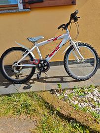 bicicletta esperia 20 pollici