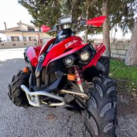 Can-am renegade 800