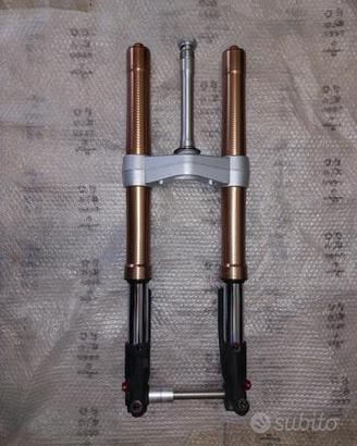 forcella completa triumph speed triple 1050
