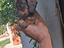 Immagine 2
