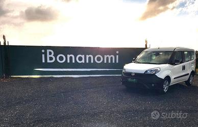 Fiat Doblò autocarro 5 posti N1