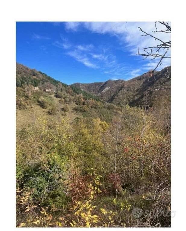 Immobile in asta di 1280000 m² a Palazzuolo sul Se - Altro