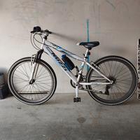 bicicletta ragazzo Nuzzi 