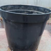 Vasi plastica usati diametro 22  stock da 4000 pz.