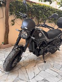 Benelli leoncino 500