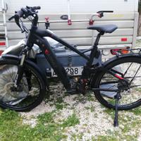 Ebike brinke