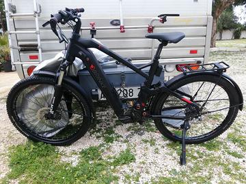 Ebike brinke