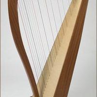 Arpa celtica Dusty string mod. Crescendo 34 corde
