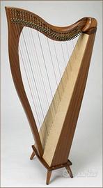 Arpa celtica Dusty string mod. Crescendo 34 corde