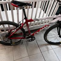 Bicicletta mtb 26 pollici
