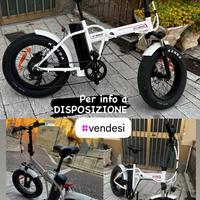 Bici elettrica E-Bike