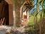 Immagine 24