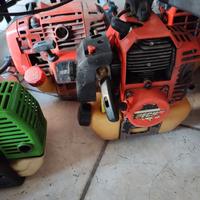 motori