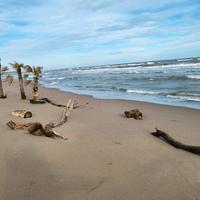 Appartamenti al grezzo piano terra a 300m dal mare