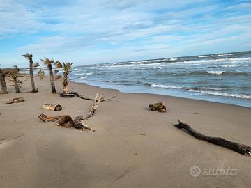 Appartamenti al grezzo piano terra a 300m dal mare