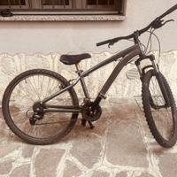 MTB raggio 26