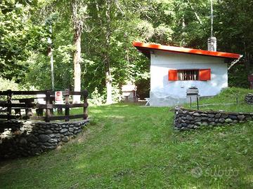 Baita isolata, immersa nel verde in val Susa