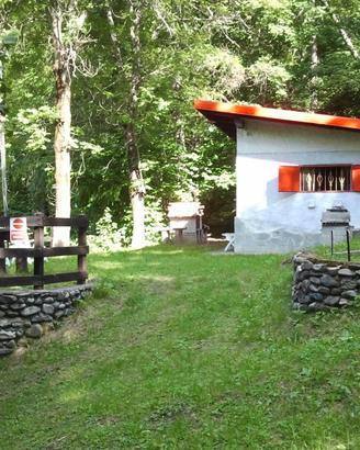 Baita isolata, immersa nel verde in val Susa