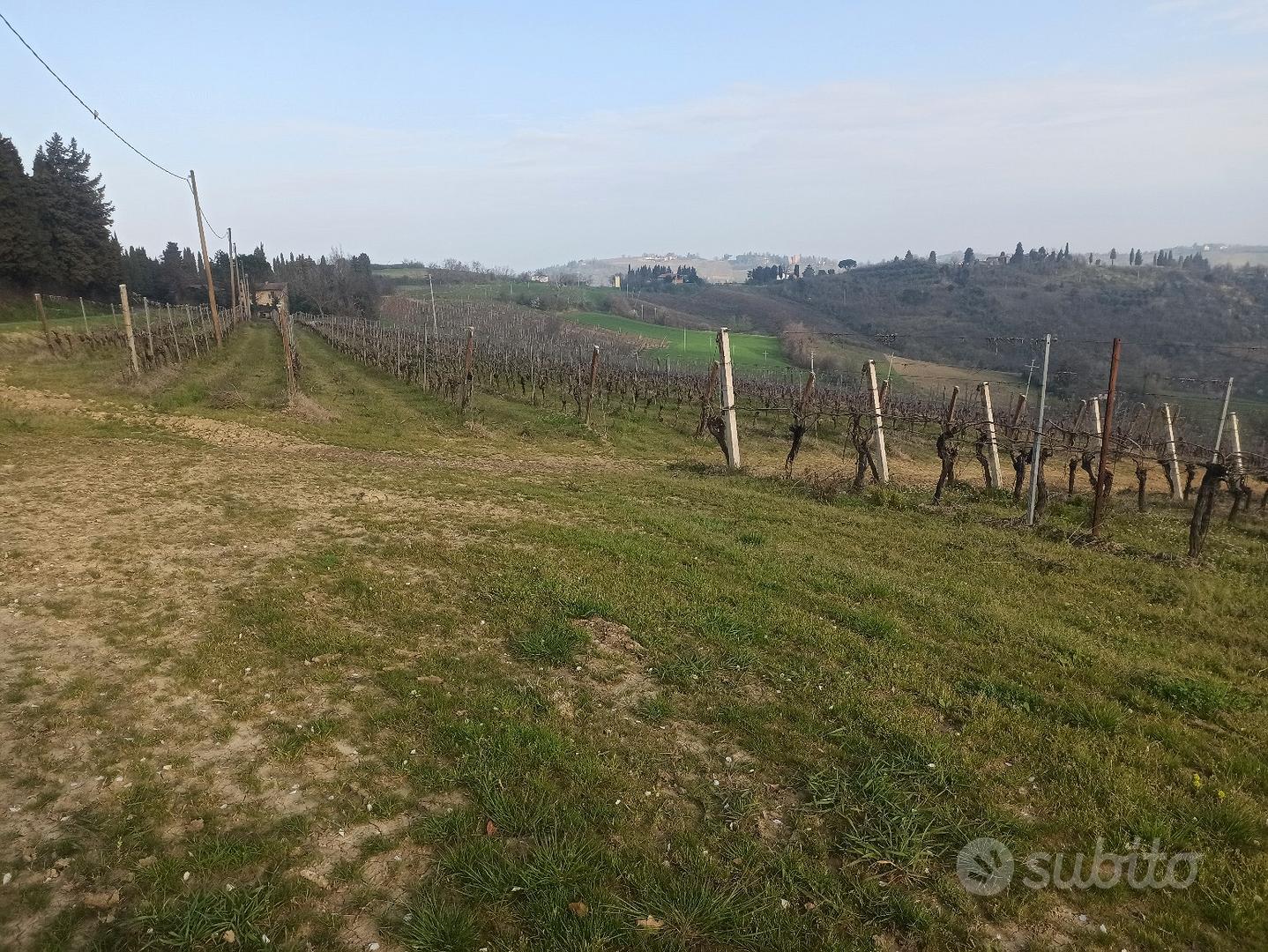 terreno agricolo a vigneto e terreno nudo - Altro