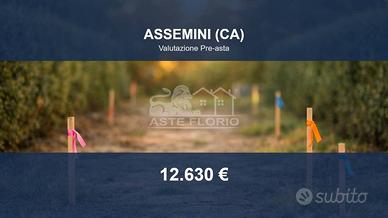 Immobile in asta di 1710 m² a Assemini