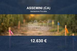 Immobile in asta di 1710 m² a Assemini