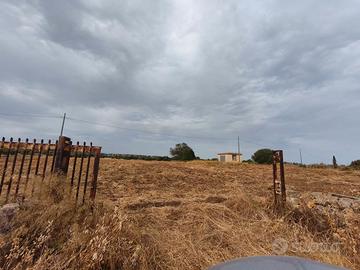 Terreno agricolo