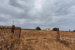 Terreno agricolo