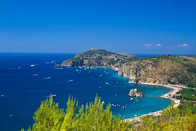 Terreno edificabile con progetto approvato albergo