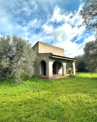 Ulivetto Fabricato e Pozzo Artesiano
